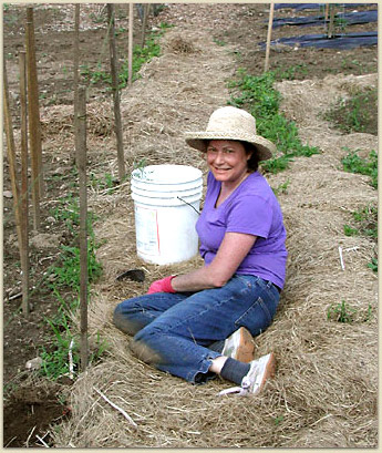 Laurie is the Dahlia Queen