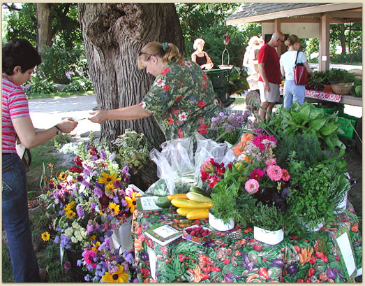 The Farmers Market is open to all CCF members and is held on Saturdays from 9:30 to 1:30.  You won't find fresher vegetables, flowers, or herbs anywhere!
